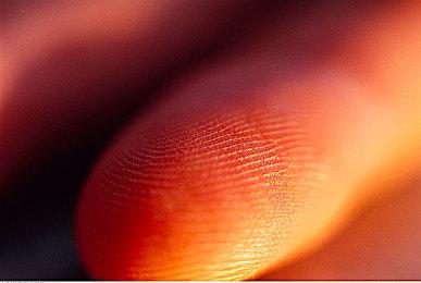 《美国卡车模拟》新DLC“堪萨斯州”将于下周发行